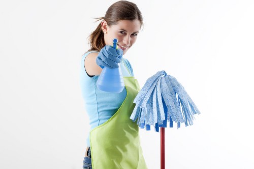 Carpet cleaning equipment and treated flooring in a professional domestic setting