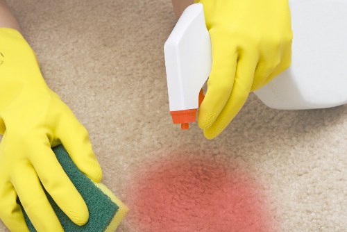 Professional cleaner checking equipment before starting work