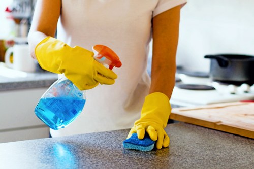 Professional pet stain odour removal in Goodmayes on carpet