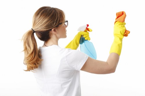 Professional curtain cleaning services in Goodmayes