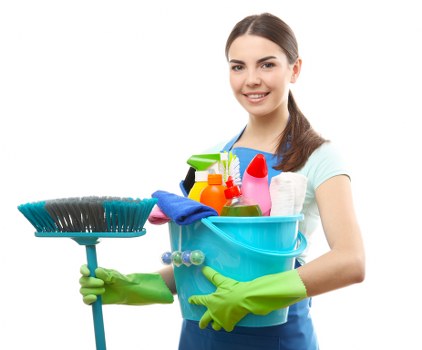 Professional carpet cleaning process focused on deep cleaning and fabric care
