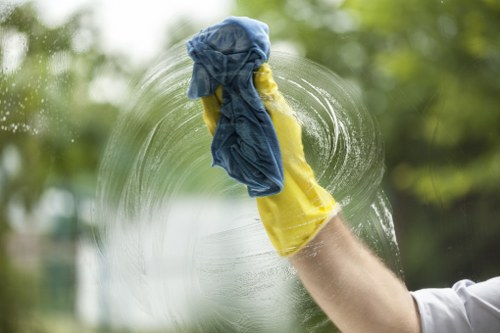 Reviewing a carpet cleaning issue during an internal assessment